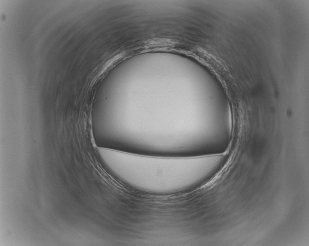 X0000071921401200607070908