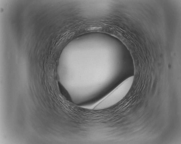X0000071921441200607070908