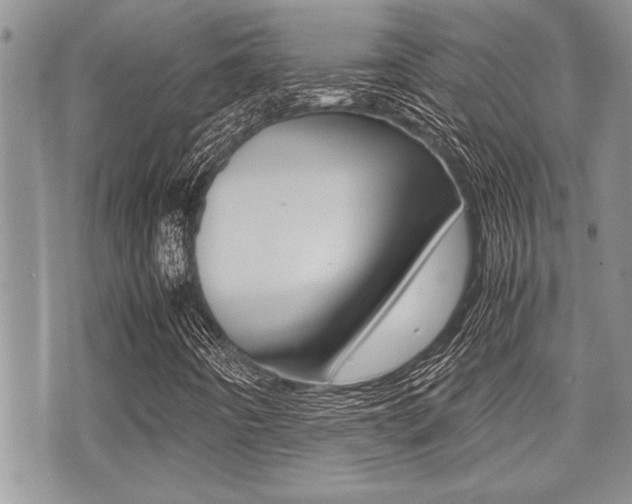 X0000071921442200607070908