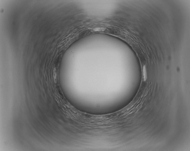 X0000071921443200607070908