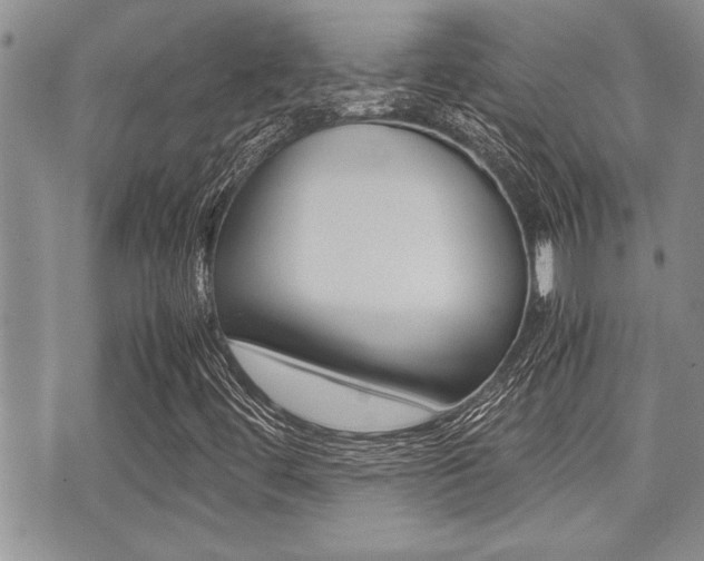 X0000071921444200607070908