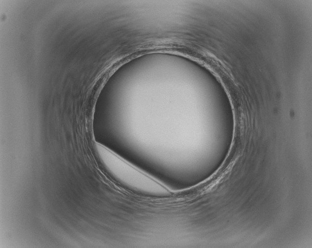 X0000071921449200607070908