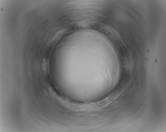 X0000071920036200607071209