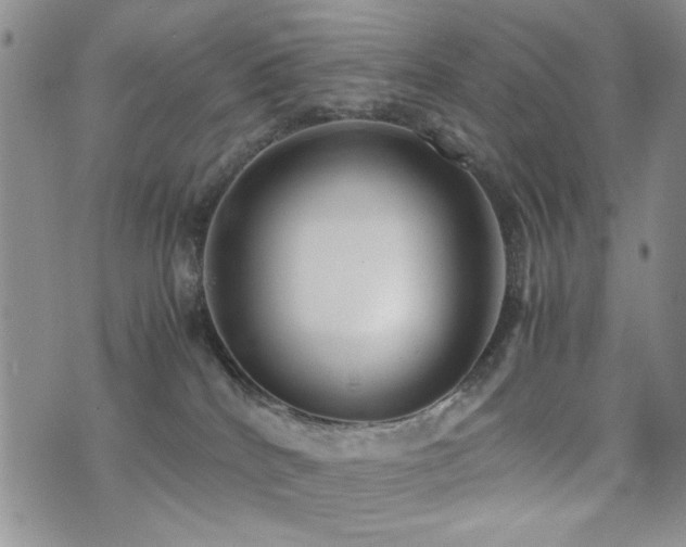 X0000071920040200607071208