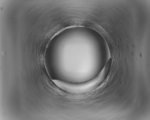 X0000071920045200607071208