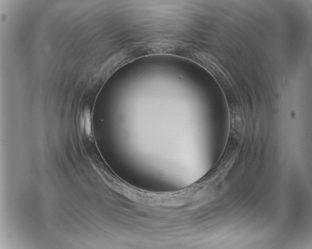 X0000071920046200607071208