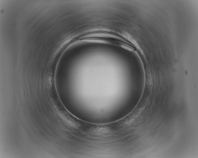 X0000071920063200607071208