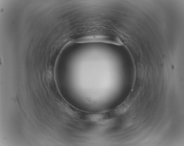X0000071920085200607071208