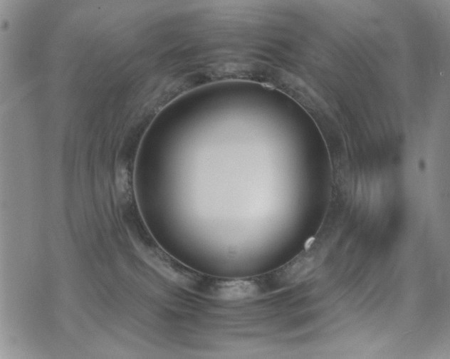 X0000071920087200607071208