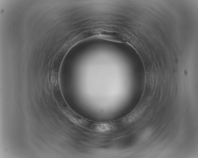 X0000071920091200607071208