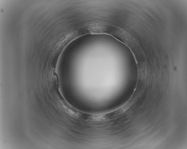X0000071920093200607071208