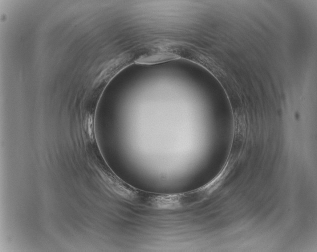 X0000071920094200607071208