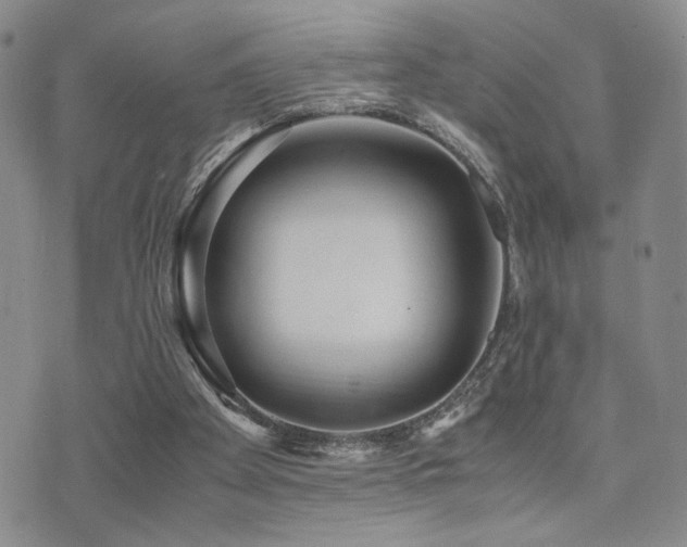 X0000071920105200607071207