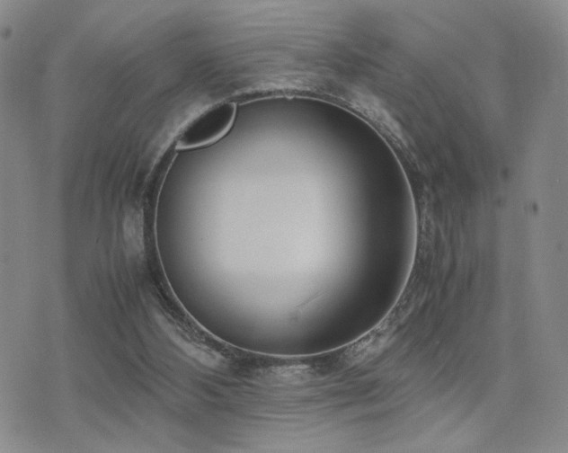 X0000071920108200607071207