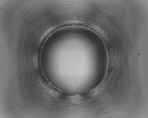 X0000071920112200607071207