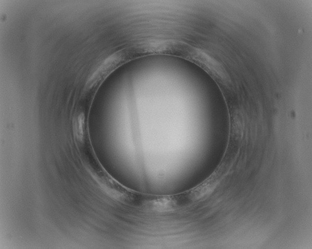 X0000071920118200607071207