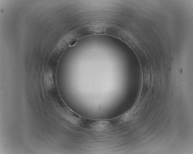 X0000071920128200607071207