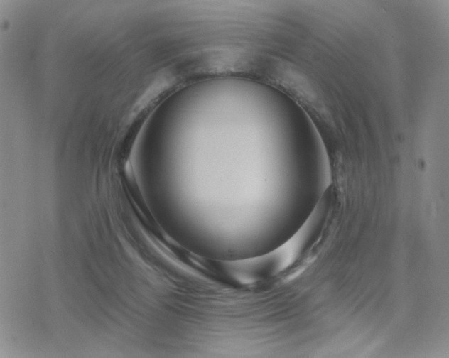 X0000071920164200607071206