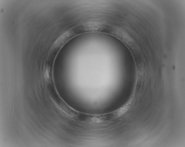 X0000071920166200607071206