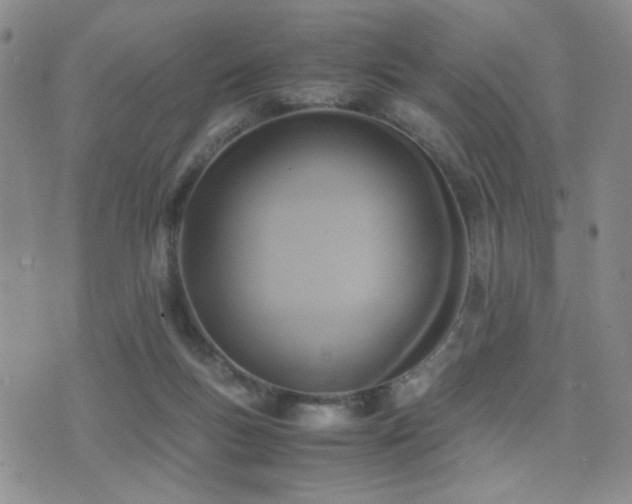 X0000071920167200607071206