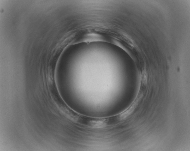 X0000071920170200607071206