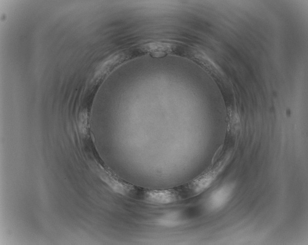 X0000071920189200607071207