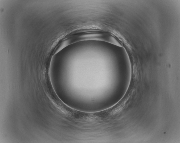 X0000071920201200607071206
