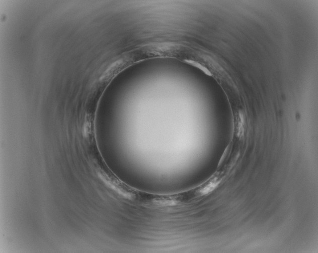 X0000071920284200607071205