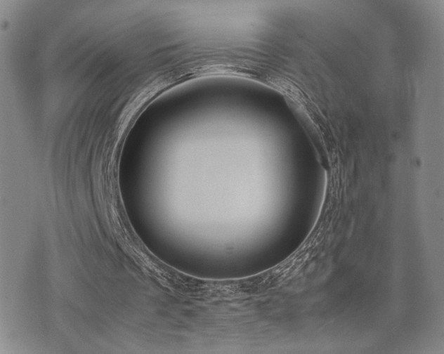 X0000071920289200607071204