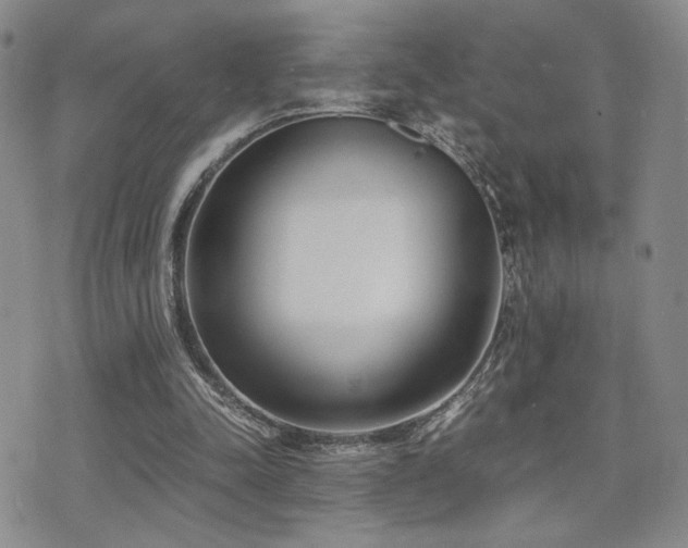 X0000071920342200607071203