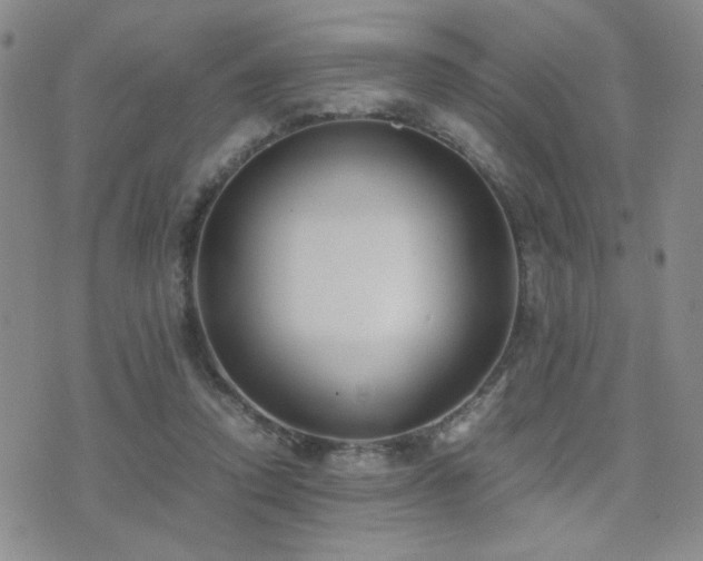X0000071920354200607071203