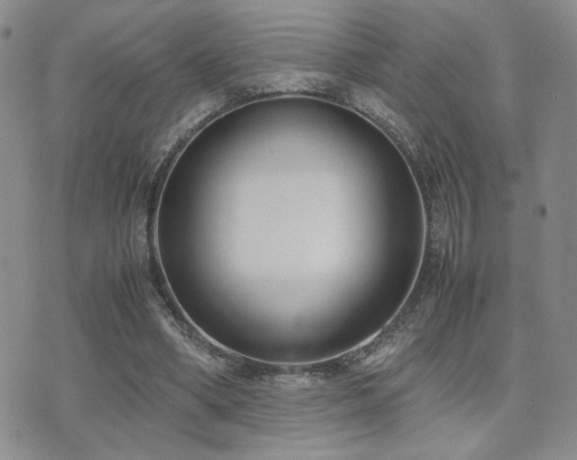 X0000071920394200607071203