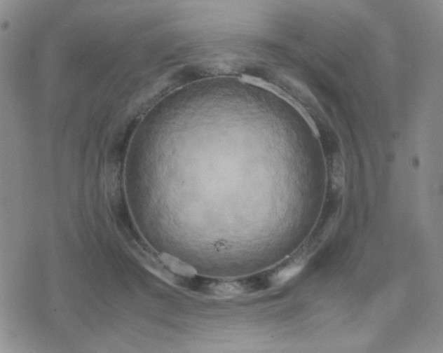 X0000071920409200607071202