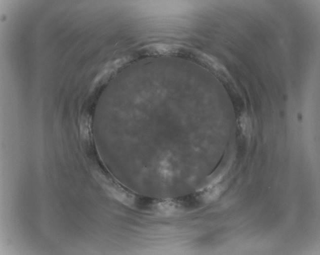 X0000071920423200607071202