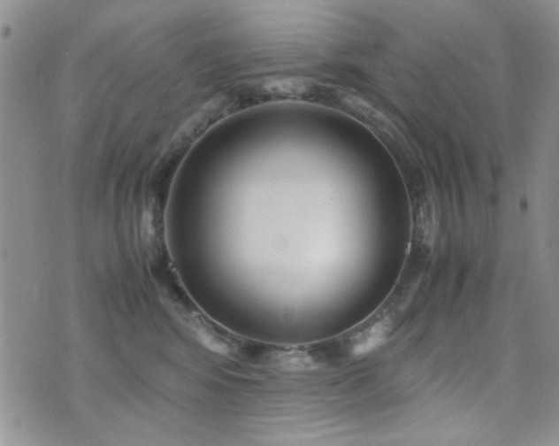 X0000071920424200607071202