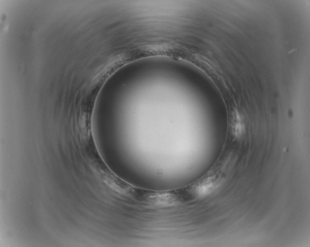 X0000071920428200607071202