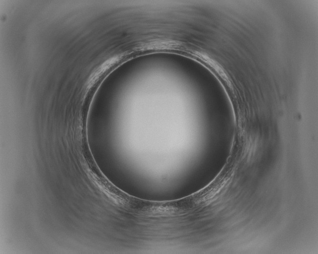 X0000071920437200607071201