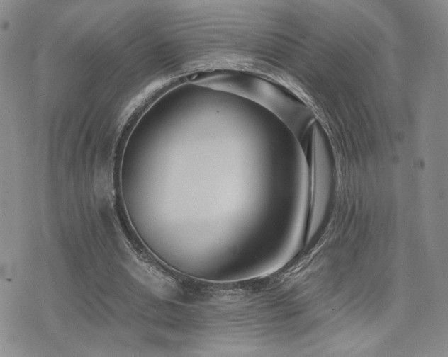 X0000071920438200607071201