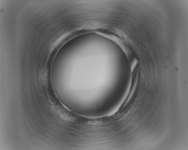 X0000071920440200607071201
