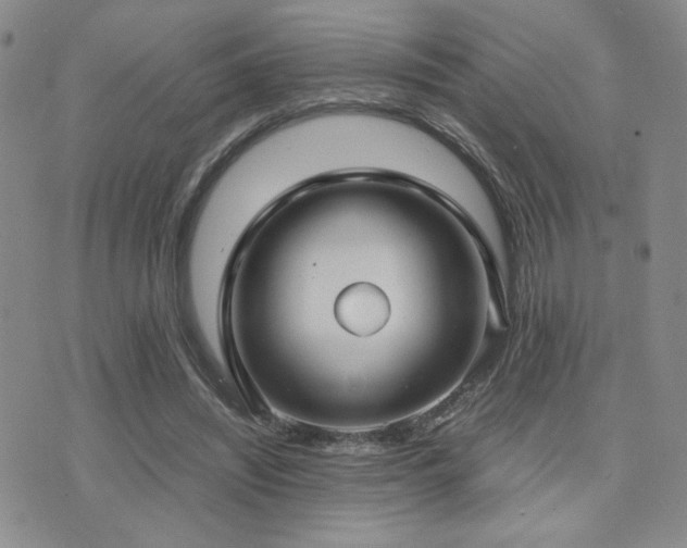 X0000071920444200607071201