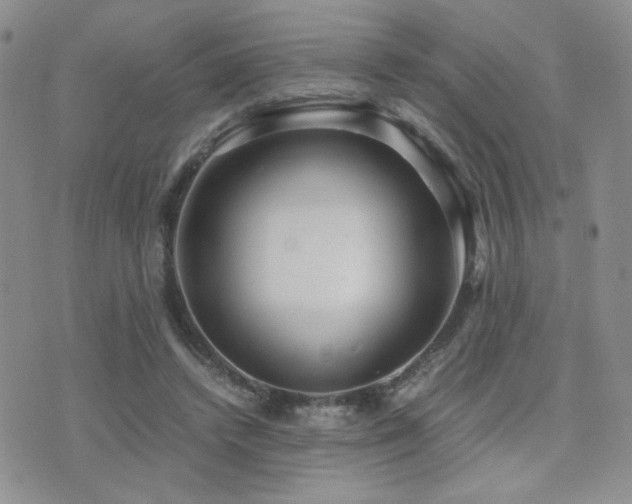 X0000071920448200607071201