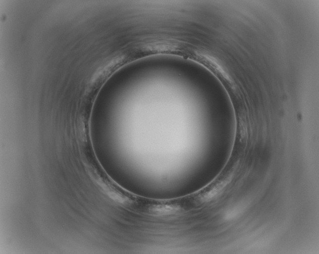 X0000071920453200607071201