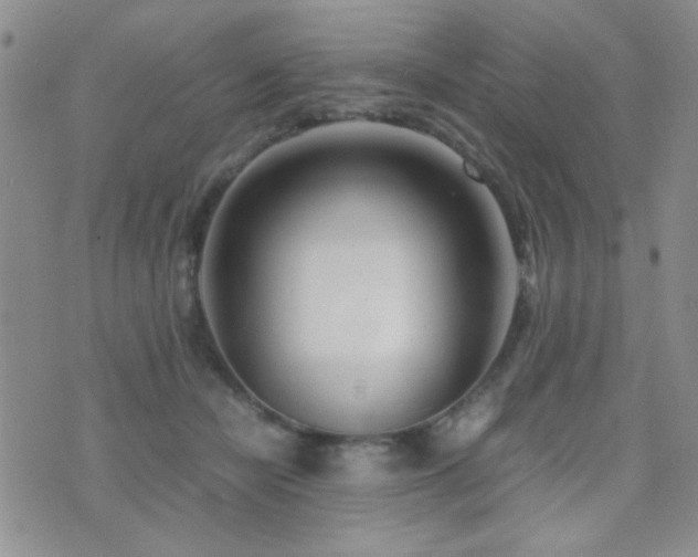 X0000071920462200607071202