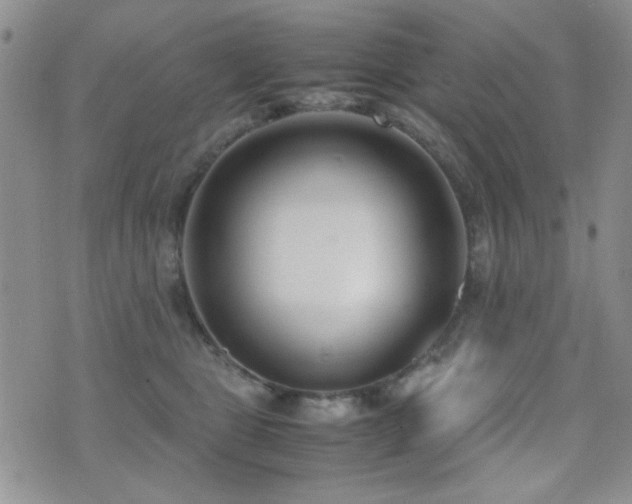 X0000071920469200607071202