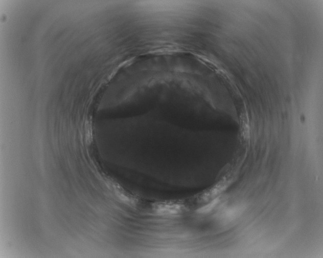 X0000071920471200607071202