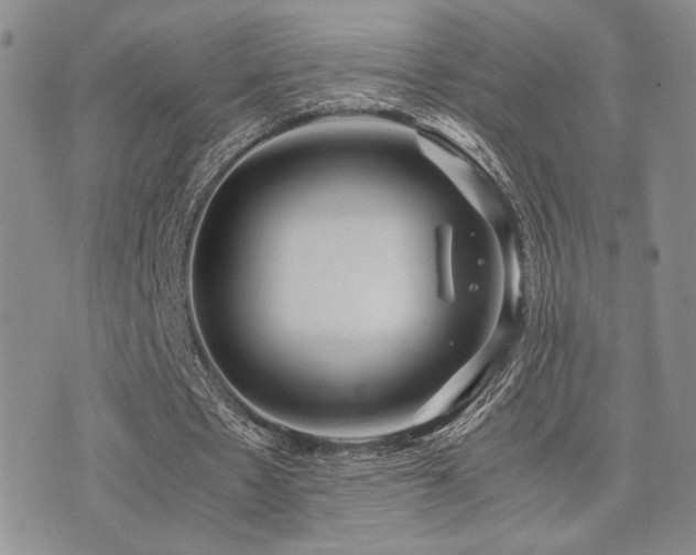 X0000071920481200607071201