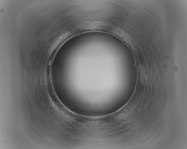 X0000071920482200607071201