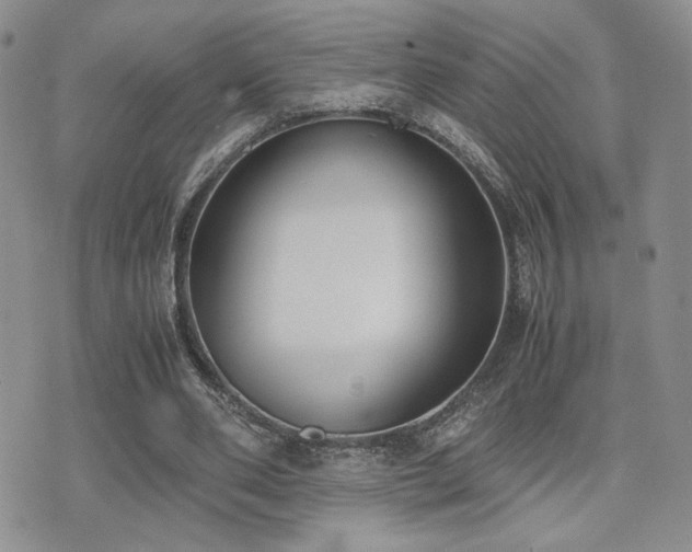 X0000071920486200607071201
