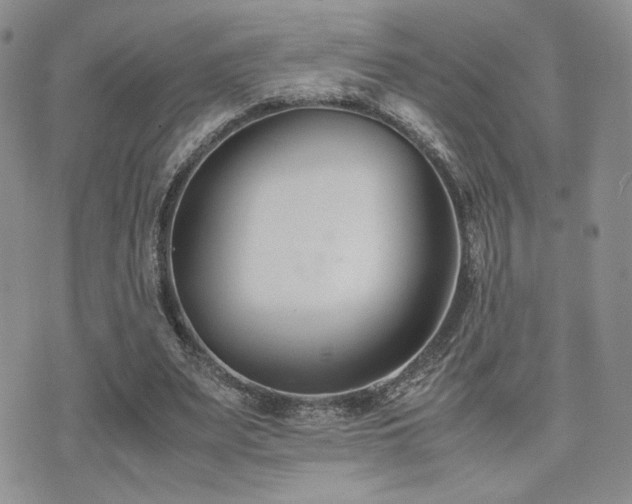 X0000071920487200607071201