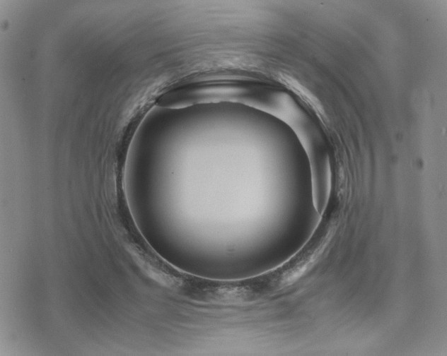 X0000071920493200607071201
